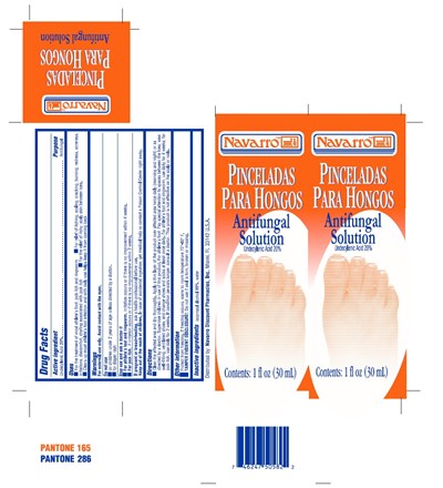 Pinceladas Para Hongo Navarro (Pinceladas Para Hongo  Navarro)